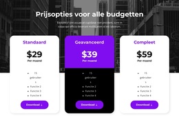 Prijsopties Voor Alle Budgetten - Eenvoudig Websitesjabloon
