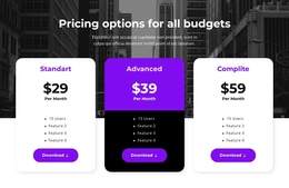 Pricing Options For All Budgets Google Speed