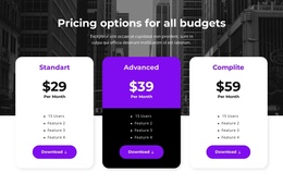 Pricing Options For All Budgets One Page Template