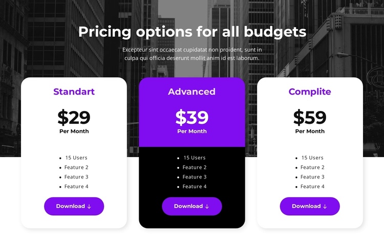 Pricing options for all budgets One Page Template
