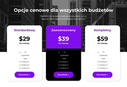 Opcje Cenowe Dla Wszystkich Budżetów – Wielozadaniowy Motyw WooCommerce