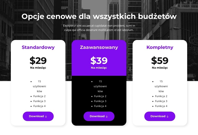 Opcje cenowe dla wszystkich budżetów Motyw WordPress