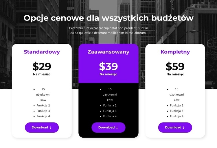 Opcje cenowe dla wszystkich budżetów Projekt strony internetowej