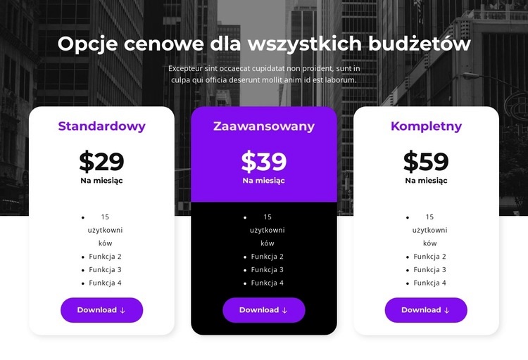 Opcje cenowe dla wszystkich budżetów Szablon HTML5