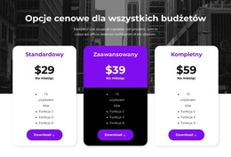 Opcje Cenowe Dla Wszystkich Budżetów #Website-Templates-Pl-Seo-One-Item-Suffix