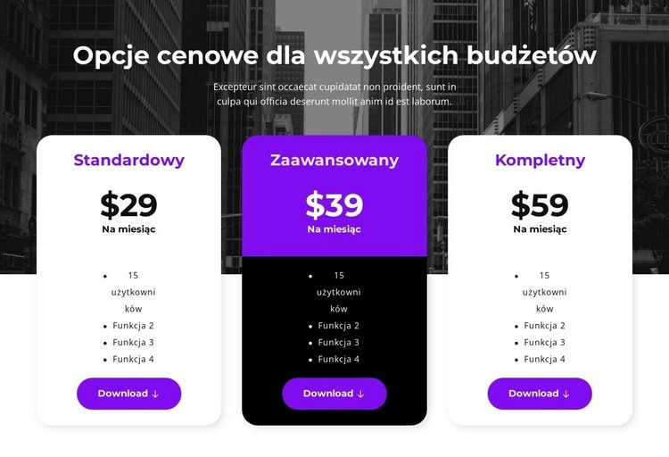 Opcje cenowe dla wszystkich budżetów Szablon jednej strony