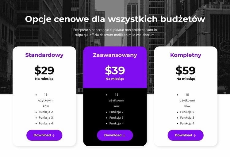 Opcje cenowe dla wszystkich budżetów Szablon