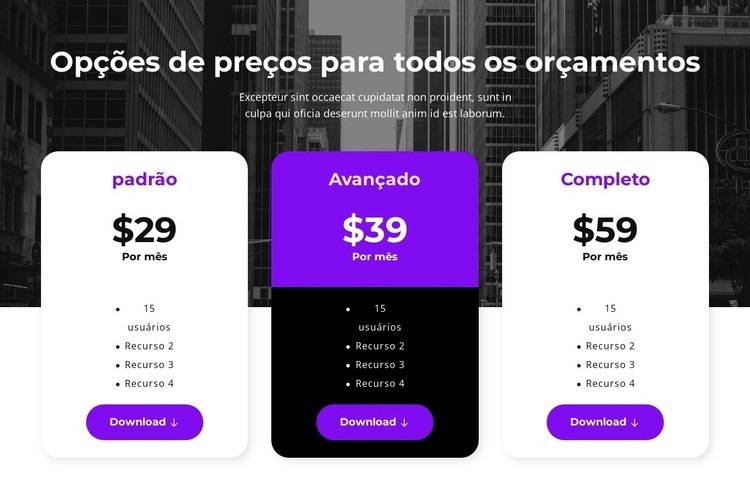 Opções de preços para todos os orçamentos Design do site