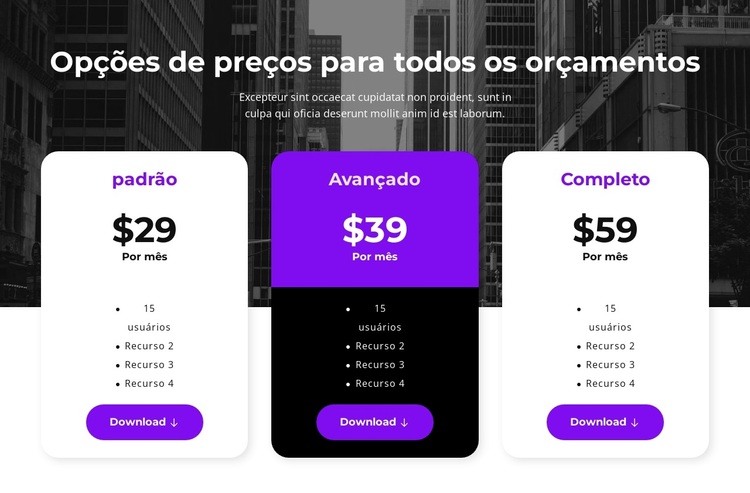 Opções de preços para todos os orçamentos Tema WordPress