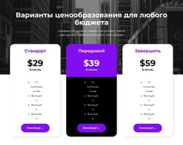 Варианты Ценообразования Для Любого Бюджета Простой Шаблон CSS