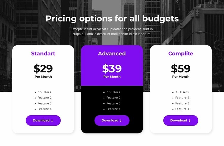 Pricing options for all budgets Squarespace Template Alternative