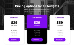 Pricing Options For All Budgets