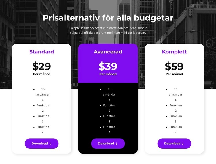 Prisalternativ för alla budgetar HTML-mall