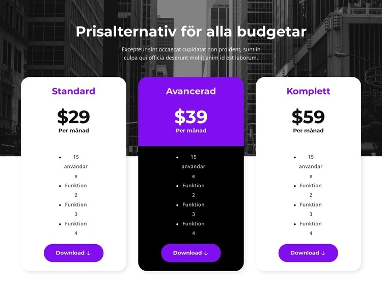 Prisalternativ för alla budgetar Mall