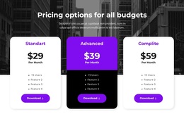 Best Practices For Pricing Options For All Budgets