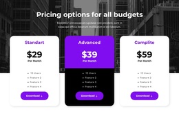 Pricing Options For All Budgets