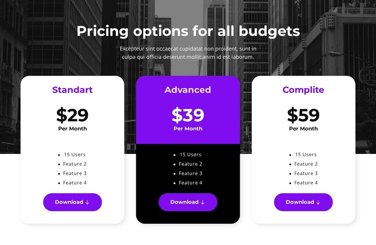 Pricing options for all budgets Template