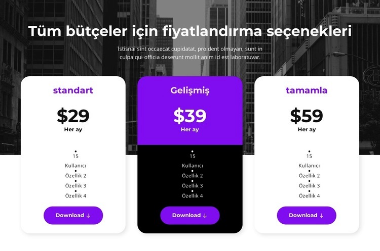 Tüm bütçeler için fiyatlandırma seçenekleri Html Web Sitesi Oluşturucu