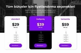 Tüm Bütçeler Için Fiyatlandırma Seçenekleri Ses Efektleri