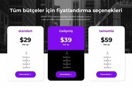 Tüm Bütçeler Için Fiyatlandırma Seçenekleri Inşaatçı Joomla