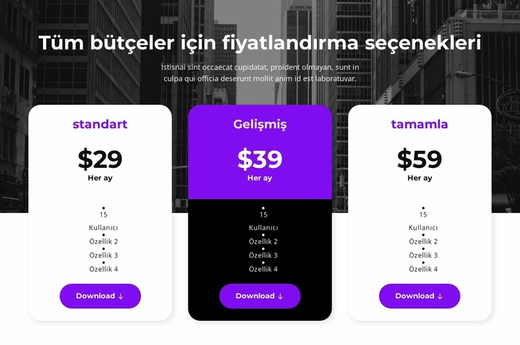 Tüm bütçeler için fiyatlandırma seçenekleri Joomla Şablonu