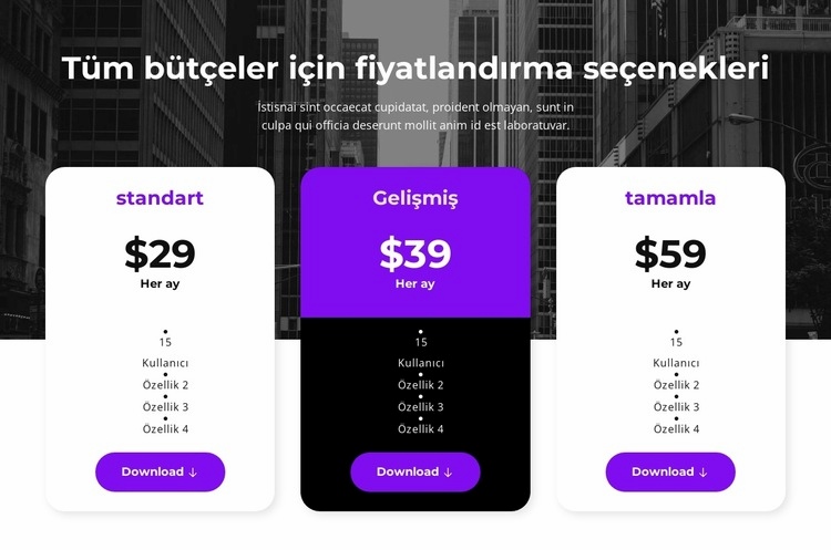 Tüm bütçeler için fiyatlandırma seçenekleri Web Sitesi Mockup'ı