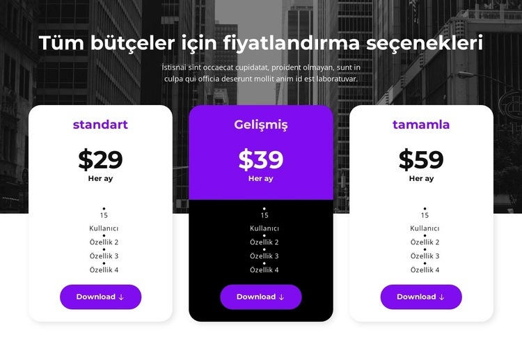 Tüm bütçeler için fiyatlandırma seçenekleri Web Sitesi Oluşturucu Şablonları