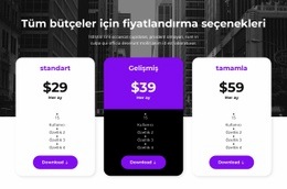 Tüm Bütçeler Için Fiyatlandırma Seçenekleri - Ücretsiz Web Sitesi Tasarımı