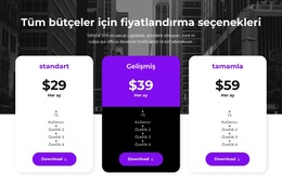 Tüm Bütçeler Için Fiyatlandırma Seçenekleri - Çok Amaçlı WooCommerce Teması