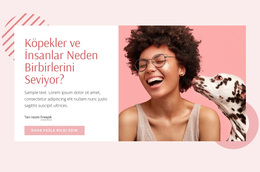 Köpek Davranışı Ve Eğitimi - WordPress Temasını Kullanmaya Hazır