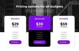 Pricing Options For All Budgets Web Page Design