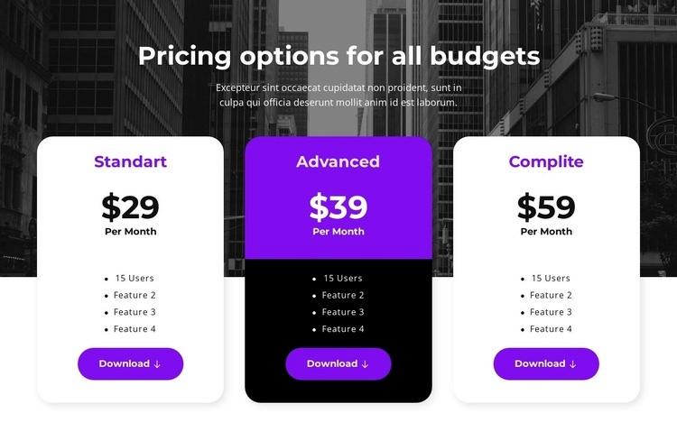 Pricing options for all budgets Web Page Design