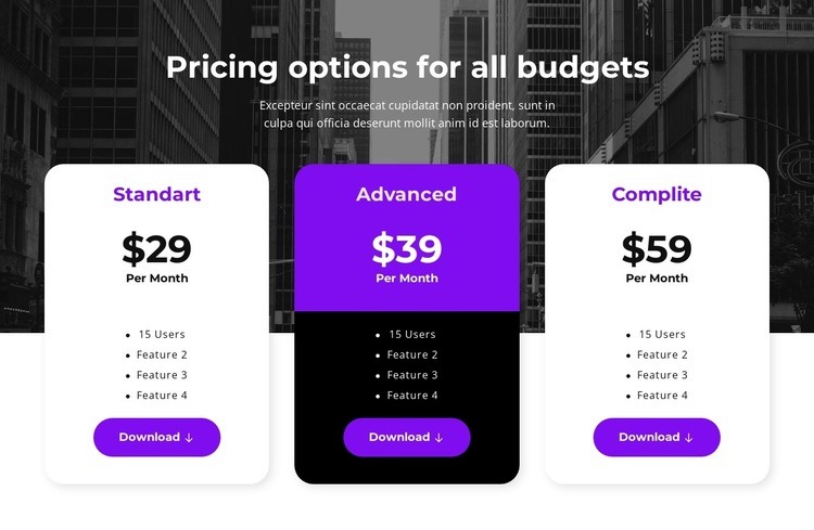 Pricing options for all budgets Webflow Template Alternative