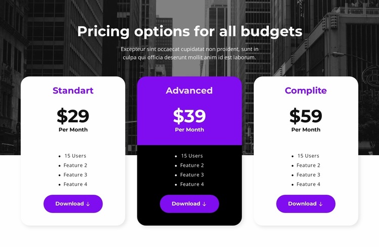Pricing options for all budgets Website Builder Templates