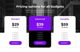 Pricing Options For All Budgets Website Builder Software