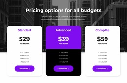 Pricing Options For All Budgets - Free Website Design