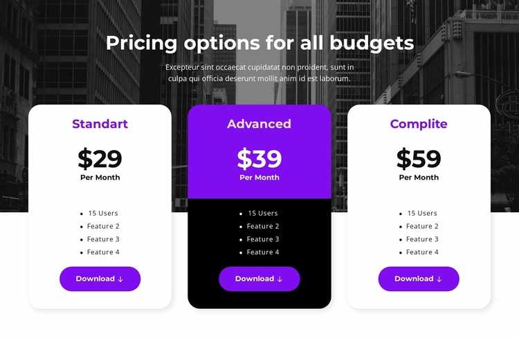 Pricing options for all budgets Website Design