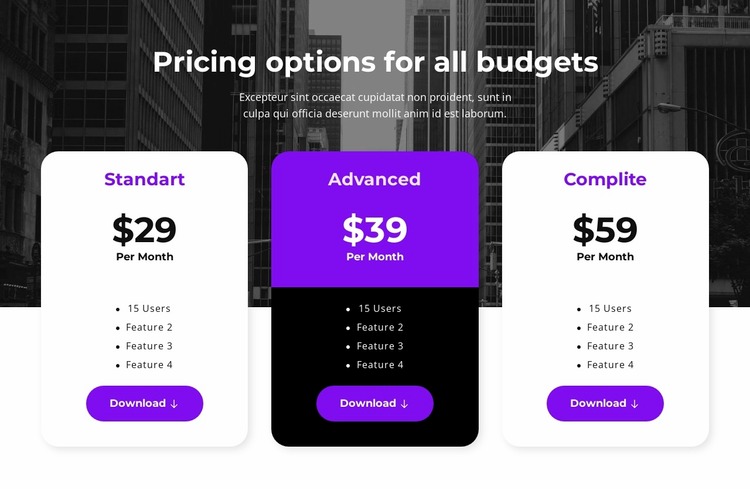Pricing options for all budgets Website Mockup