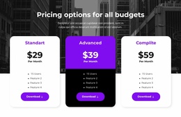 Pricing Options For All Budgets - Website Template Free Download