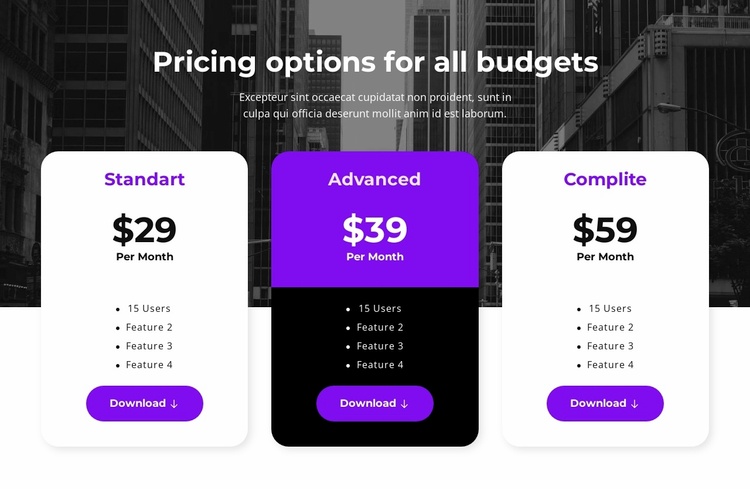 Pricing options for all budgets Landing Page
