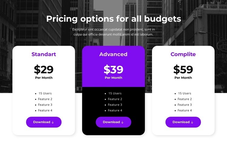 Pricing options for all budgets Wix Template Alternative
