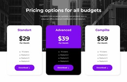 Pricing Options For All Budgets Product For Users