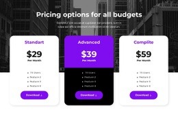 Best Practices For Pricing Options For All Budgets
