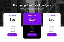 Pricing Options For All Budgets