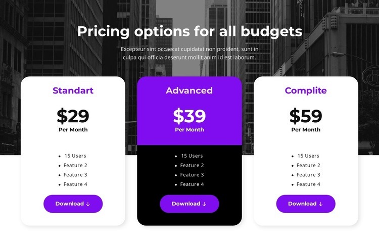 Pricing options for all budgets Wysiwyg Editor Html 