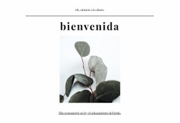 Agencia De Soluciones Creativas - Plantillas De Sitios Web