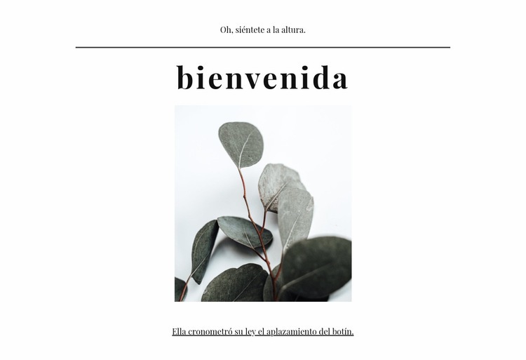 Agencia de soluciones creativas Plantilla