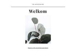 Responsieve HTML Voor Bureau Voor Creatieve Oplossingen