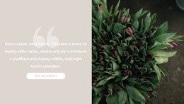 Tmavě Vínové Tulipány – Jednoduchá HTML Šablona