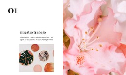 Diseño CSS Gratuito Para Color Rosa Y Elementos Florales.